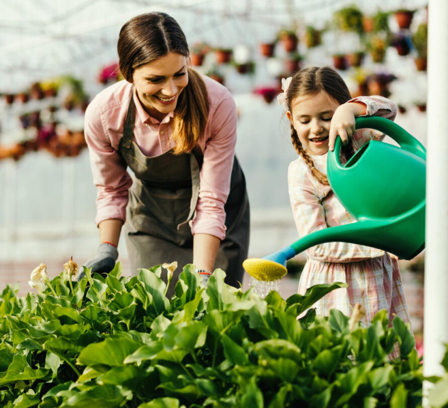 Nông Sản Hữu Cơ Tâm Đức