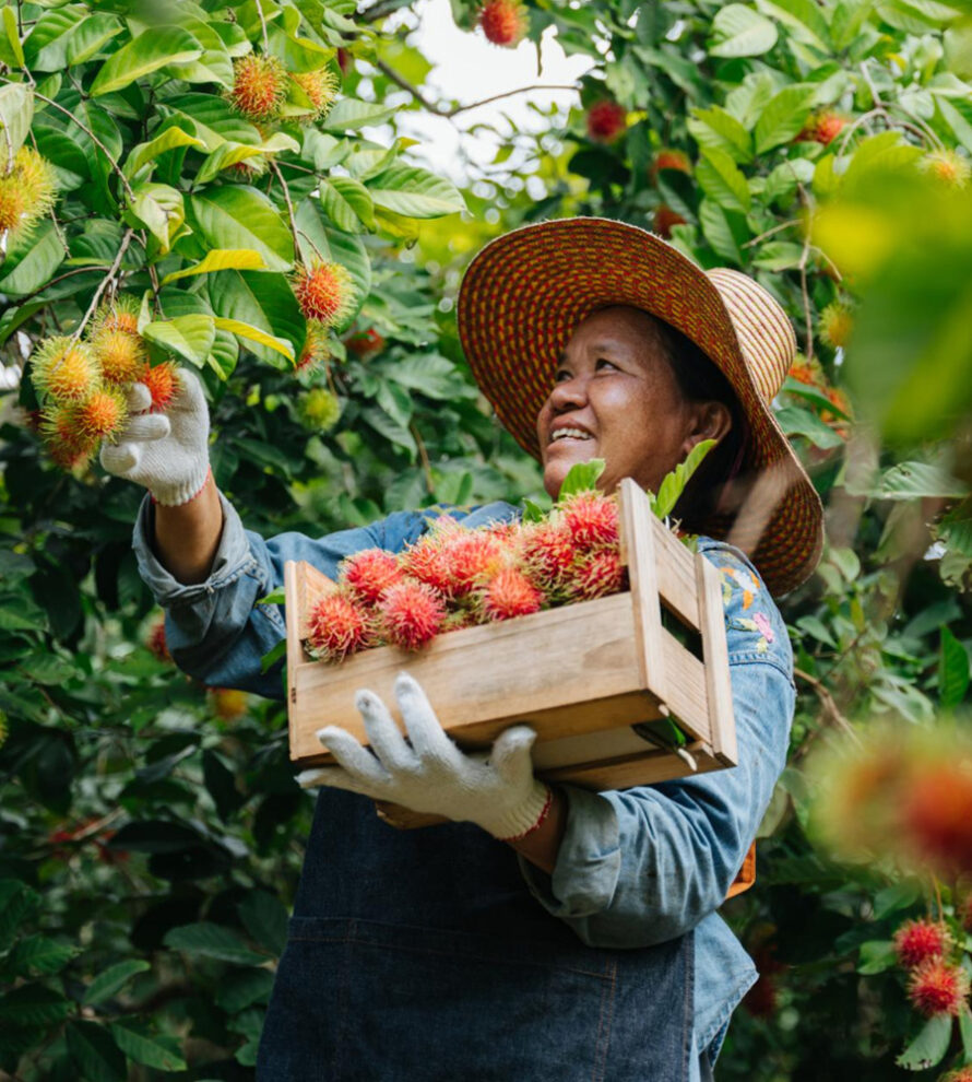 Nông Sản Hữu Cơ Tâm Đức